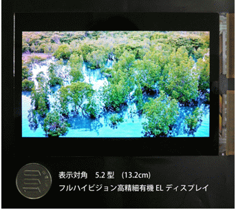eedisplay_13_016.gif