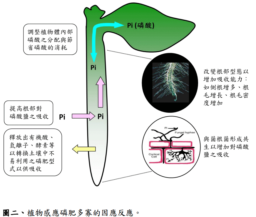 bio_11509b_20150827.gif