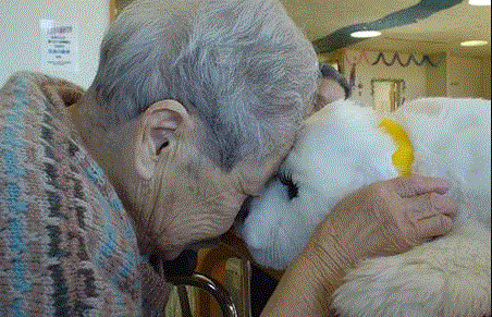 market_11634_20151005.GIF